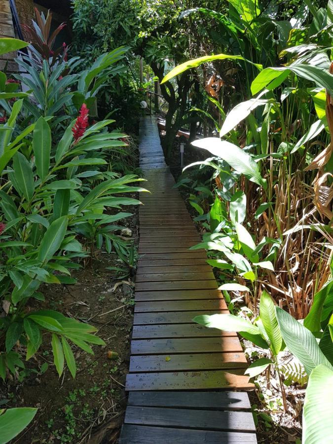 Gites Les Lodges Des Hauts De 德赛 外观 照片